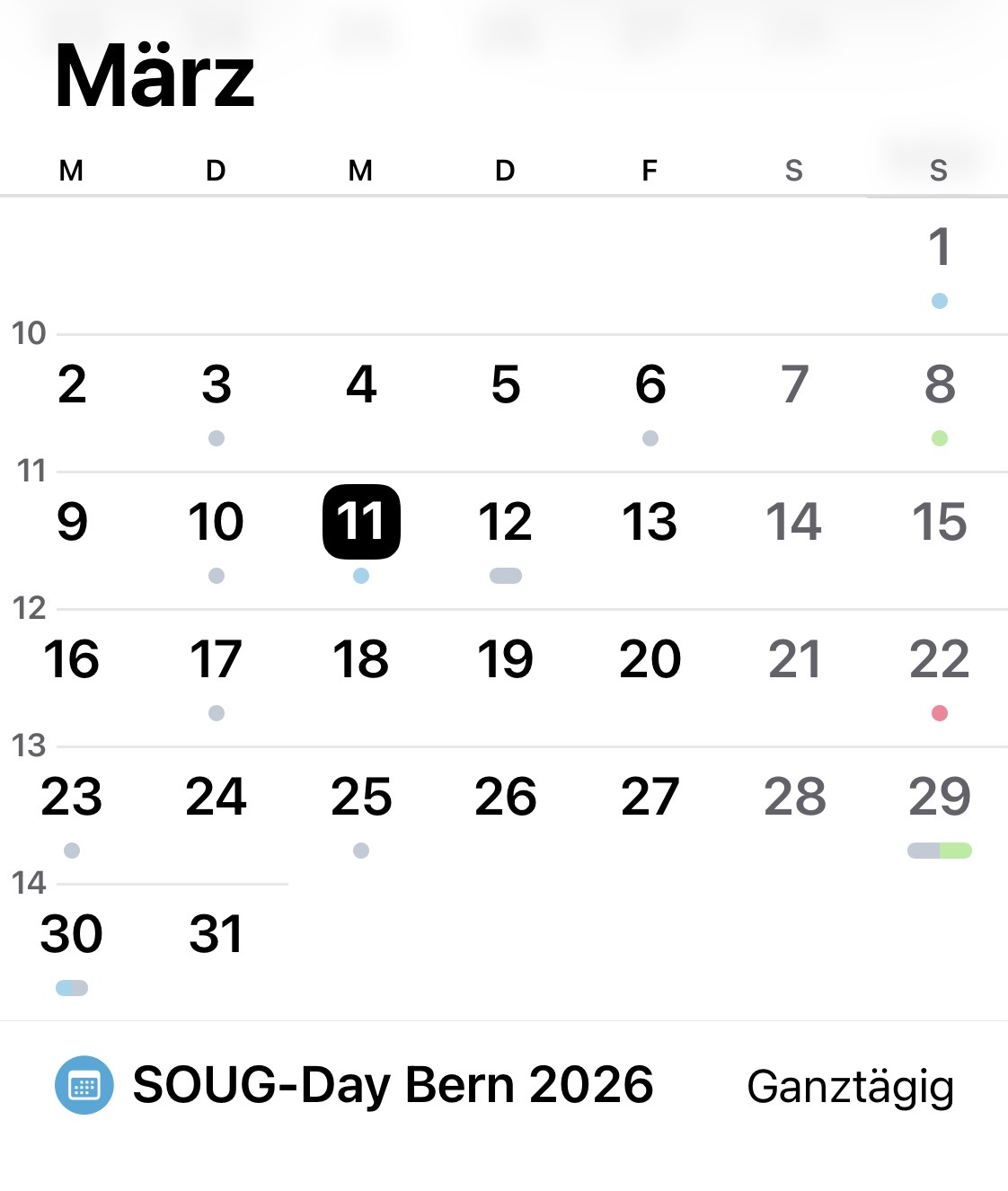 soug-13-landscape